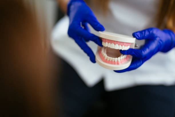 Best Dental Fillings (Composite and Amalgam)  in Geneva, FL